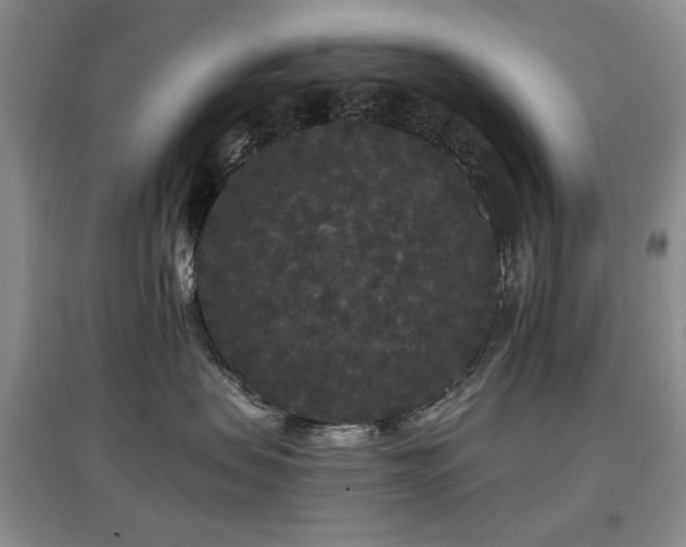 X0000097910479200803141423