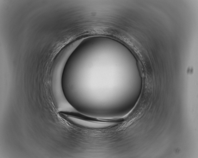 X0000097910481200803141422