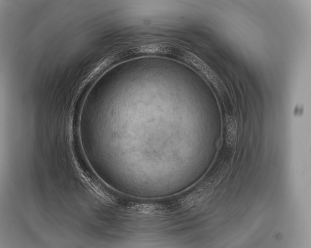 X0000097910482200803141422