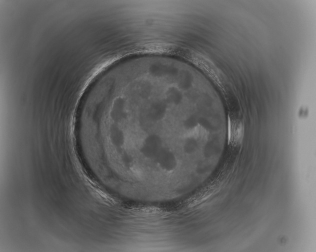 X0000097910483200803141422