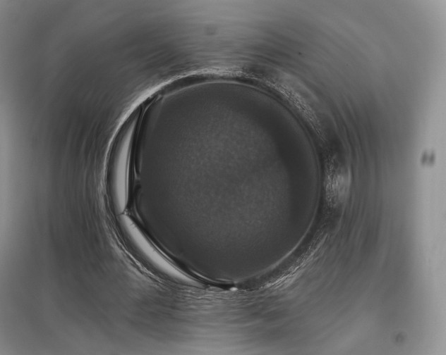 X0000097910484200803141422