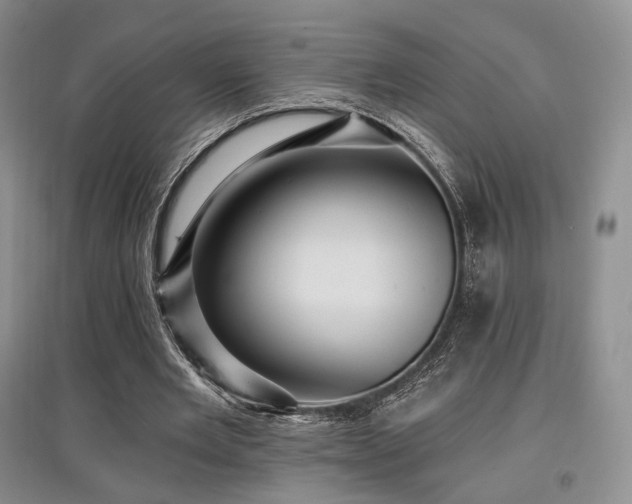 X0000097910485200803141422