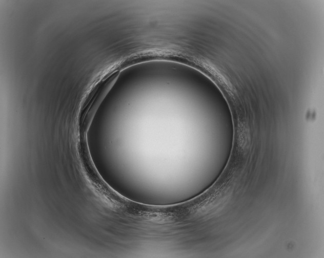 X0000097910486200803141422