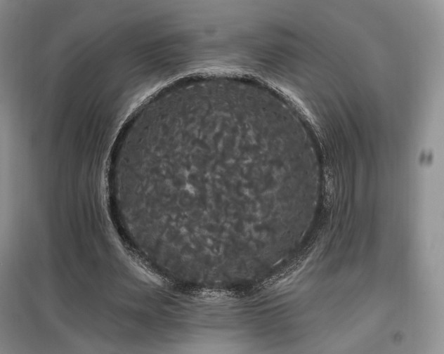 X0000097910487200803141422