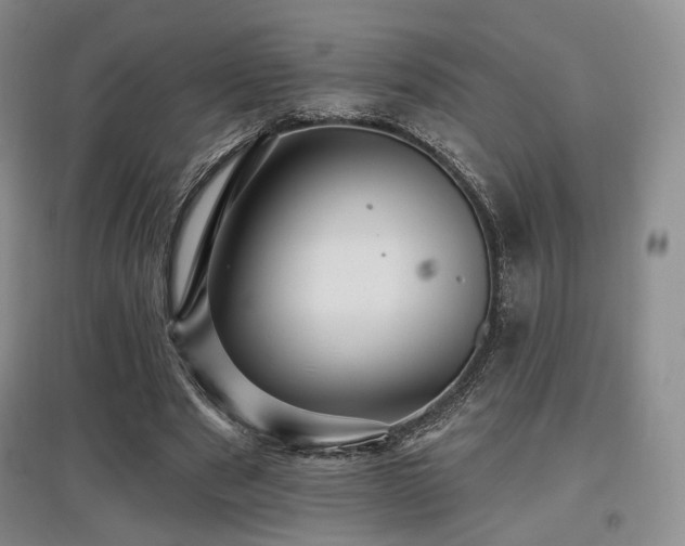 X0000097910489200803141422