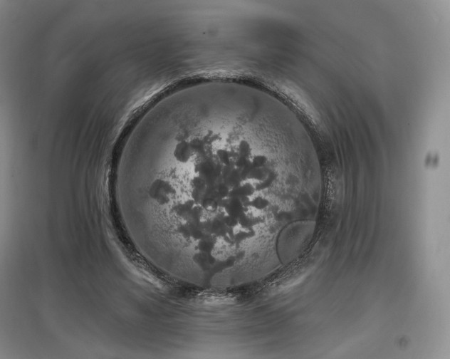 X0000097910491200803141422