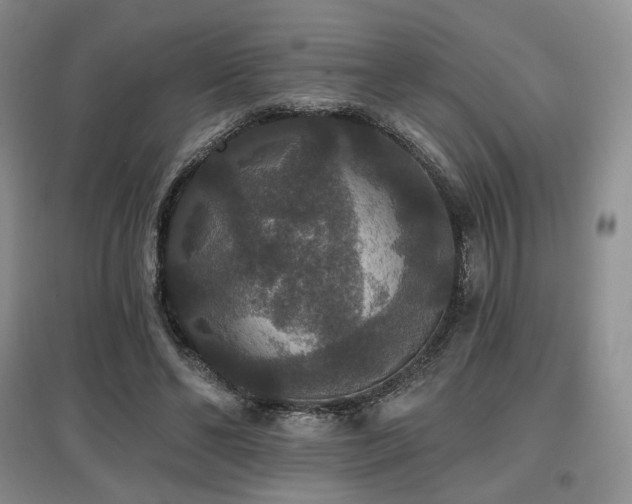 X0000097910494200803141422