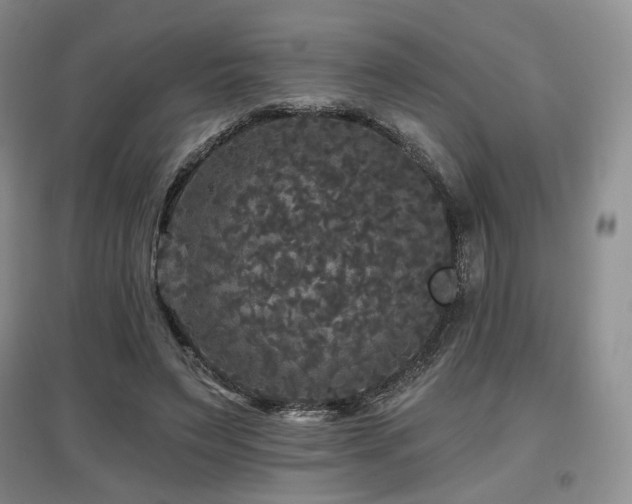 X0000097910495200803141422