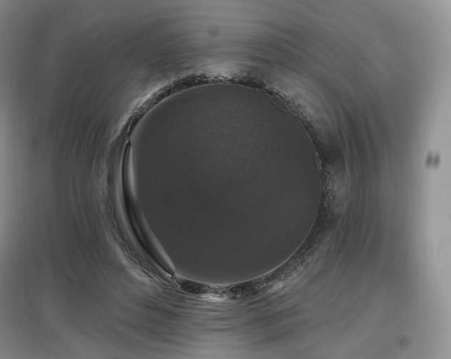 X0000097910496200803141422