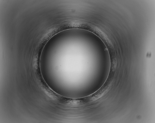 X0000097910497200803141422