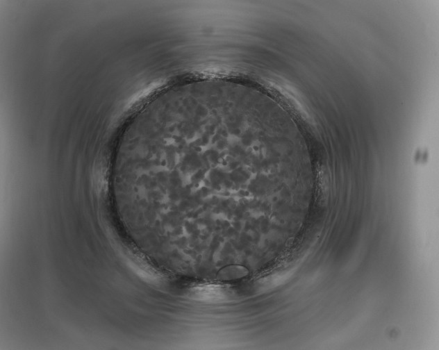 X0000097910499200803141422