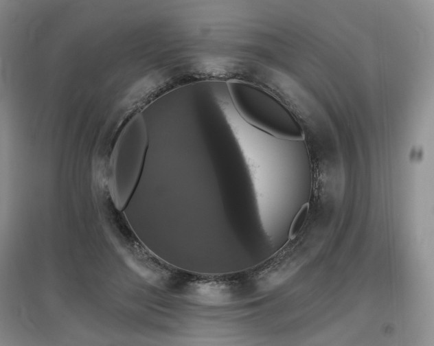 X0000097910500200803141422