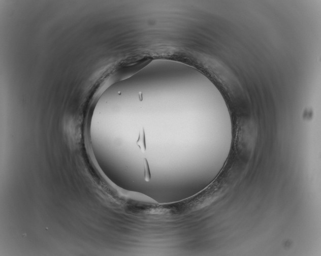 X0000097910501200803141422