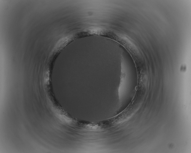 X0000097910502200803141422