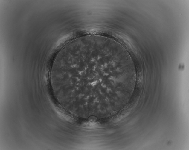 X0000097910503200803141422