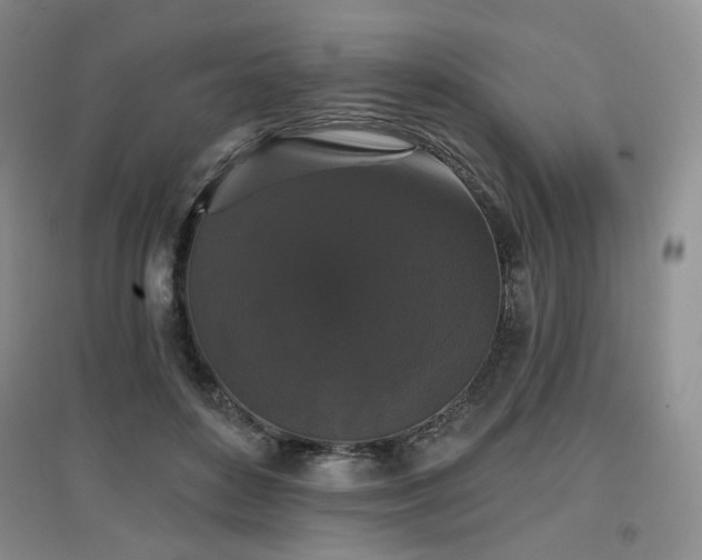 X0000097910504200803141422