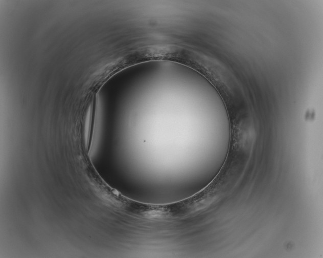 X0000097910505200803141422