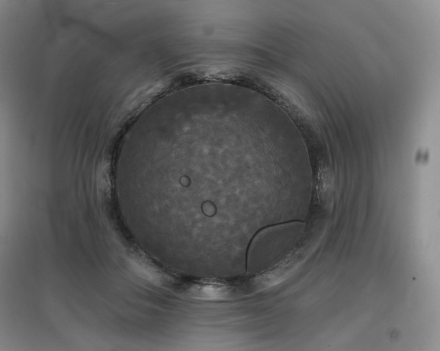 X0000097910506200803141422