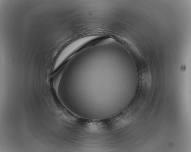 X0000097910508200803141421