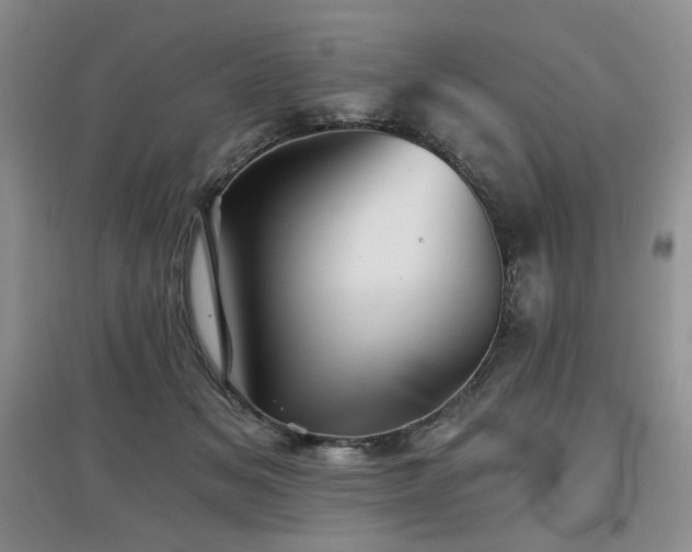 X0000097910509200803141421