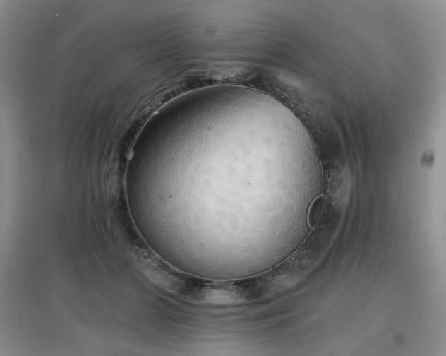 X0000097910510200803141421