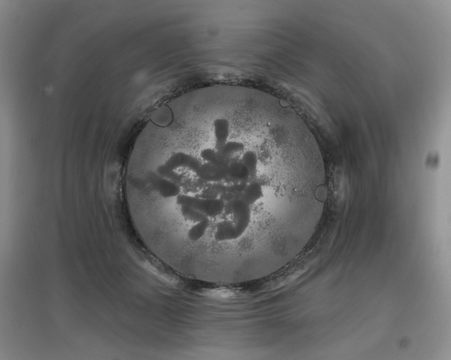 X0000097910511200803141421