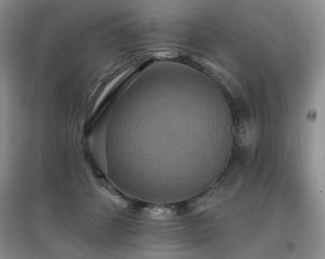 X0000097910512200803141421