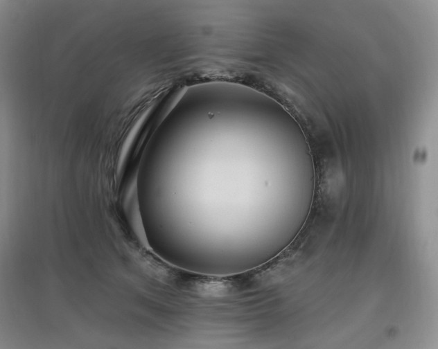 X0000097910513200803141421