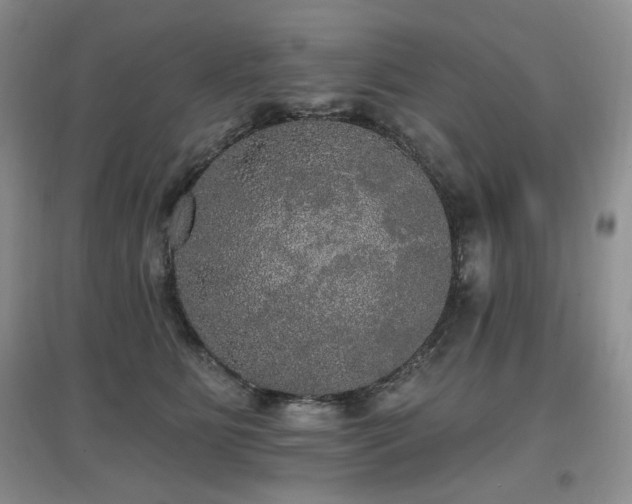 X0000097910515200803141421