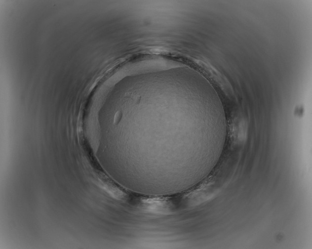 X0000097910516200803141421