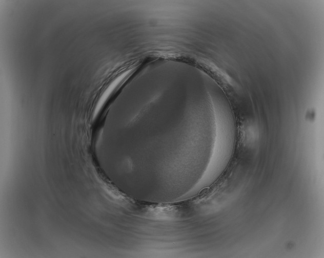 X0000097910517200803141421