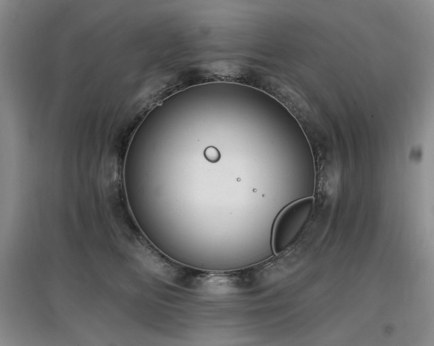 X0000097910518200803141421