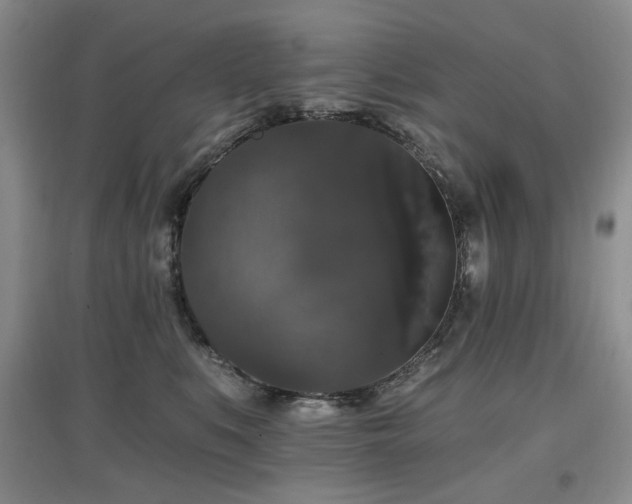 X0000097910519200803141421