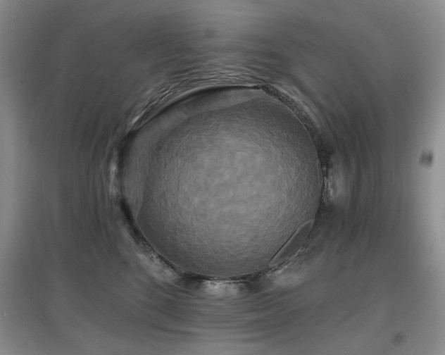 X0000097910520200803141421