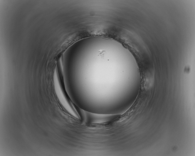 X0000097910521200803141421