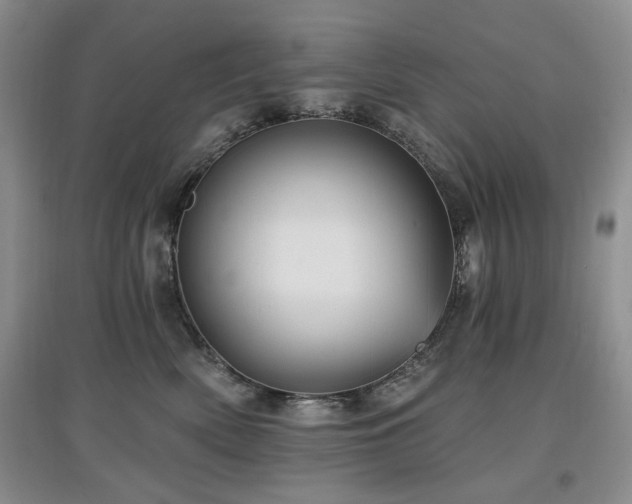 X0000097910522200803141421