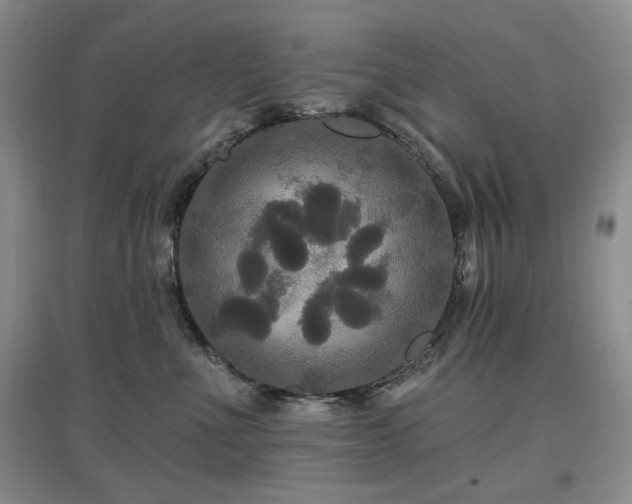 X0000097910523200803141421