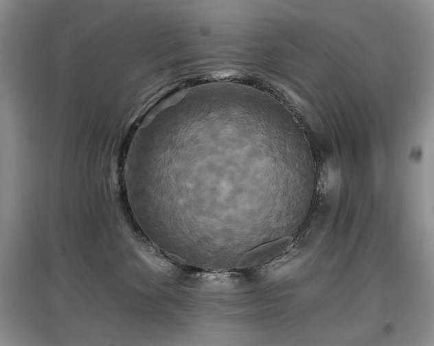 X0000097910524200803141421