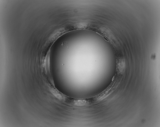 X0000097910525200803141421