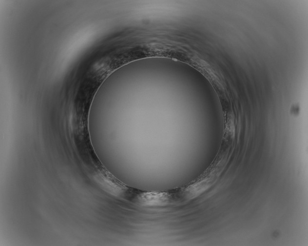 X0000097910526200803141421