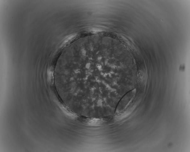 X0000097910527200803141421