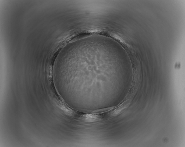 X0000097910528200803141421