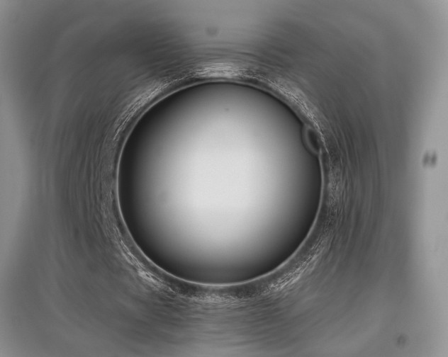 X0000097910529200803141421