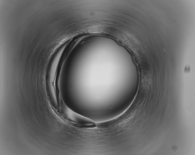 X0000097910530200803141421