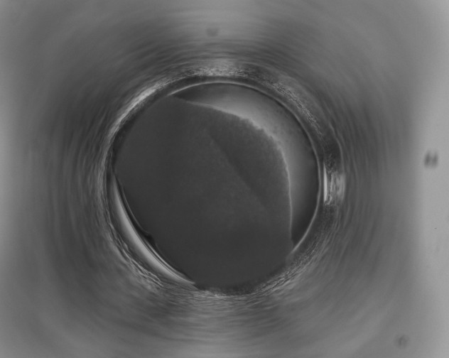 X0000097910531200803141421