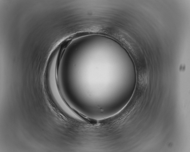 X0000097910532200803141421