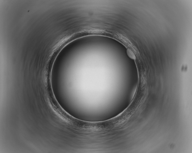 X0000097910533200803141421