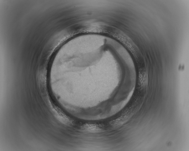 X0000097910534200803141421