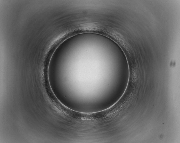 X0000097910535200803141421