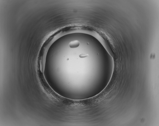 X0000097910536200803141421